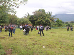 World Environment Day 2023