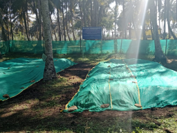 Vermicomposting Culture Project